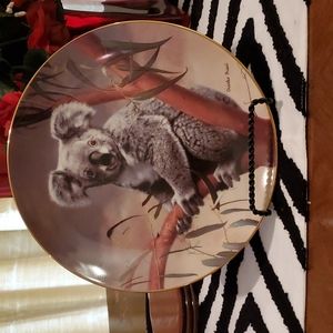 🐨 Kola Porcelain Plate